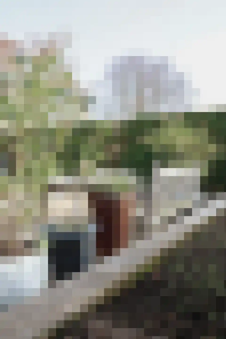 Limburgerstraat 62 Cadier en Keer thumbnail 55