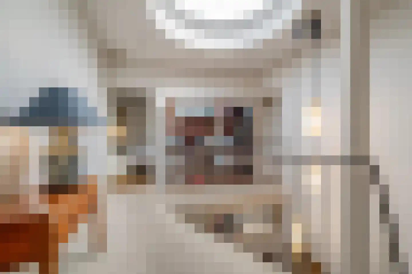 Limburghof 15 Amsterdam thumbnail 10