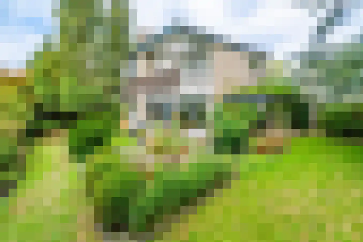 Limburghof 15 Amsterdam thumbnail 18