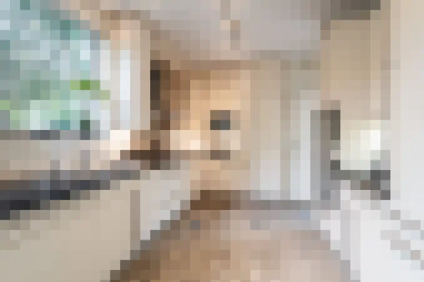 Limburghof 15 Amsterdam thumbnail 4