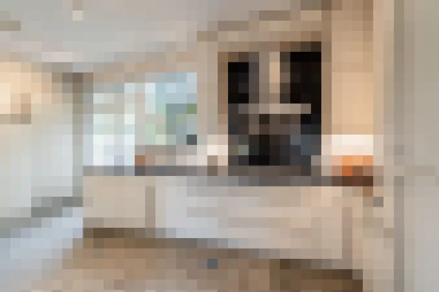 Limburghof 15 Amsterdam thumbnail 8