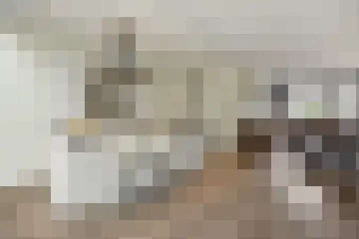 Limburghof 15 Helmond thumbnail 17