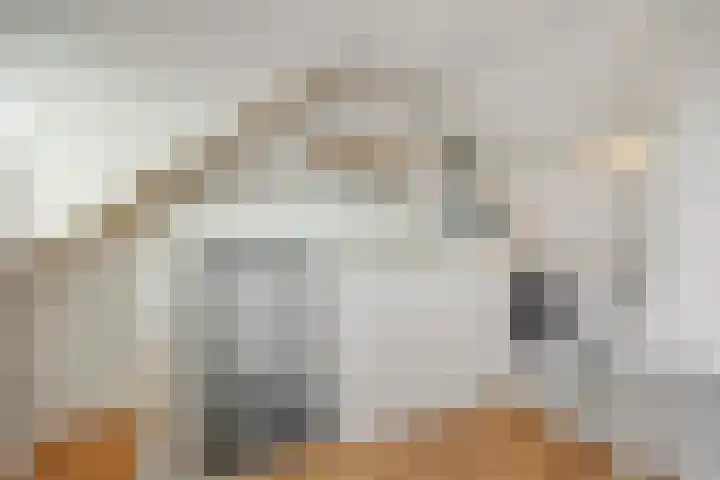 Limburghof 15 Helmond thumbnail 28