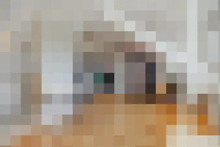 Limburghof 15 Helmond thumbnail 29