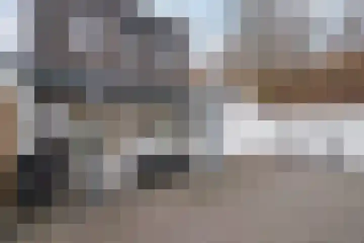 Limburgiaplantsoen 31 Brunssum thumbnail 30