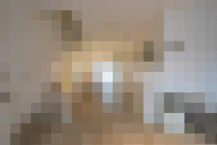 Limburgiaplantsoen 31 Brunssum thumbnail 8
