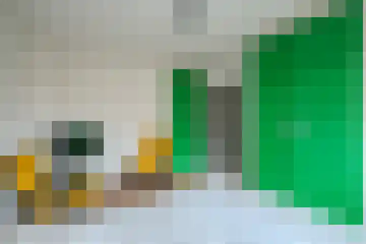 Limburgiastraat 43 Heerlen thumbnail 14
