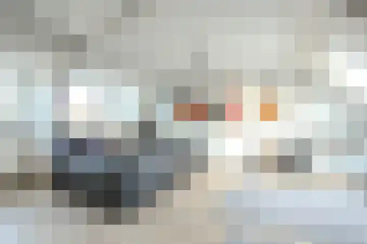 Limburgiastraat 43 Heerlen thumbnail 20