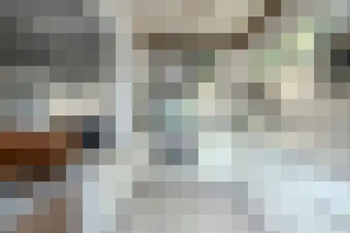 Limburgiastraat 43 Heerlen thumbnail 9