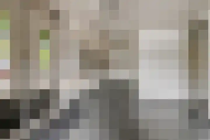 Limburglaan 103 Eindhoven thumbnail 10