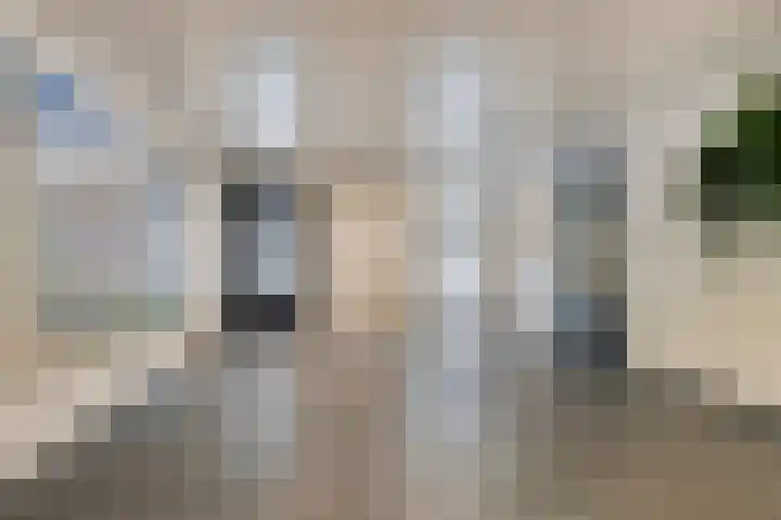 Limburglaan 103 Eindhoven thumbnail 11