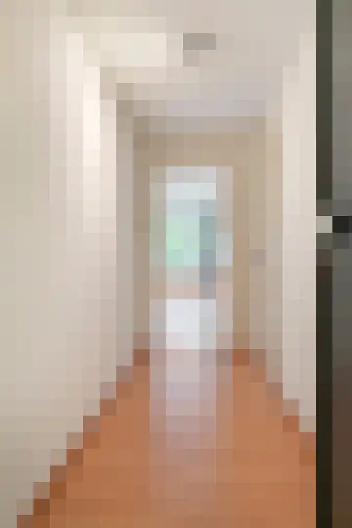 Limburglaan 103 Eindhoven thumbnail 18