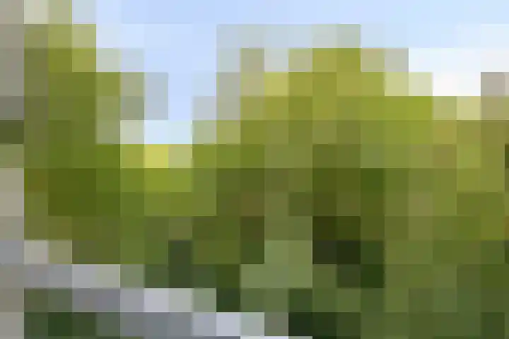 Limburglaan 103 Eindhoven thumbnail 33