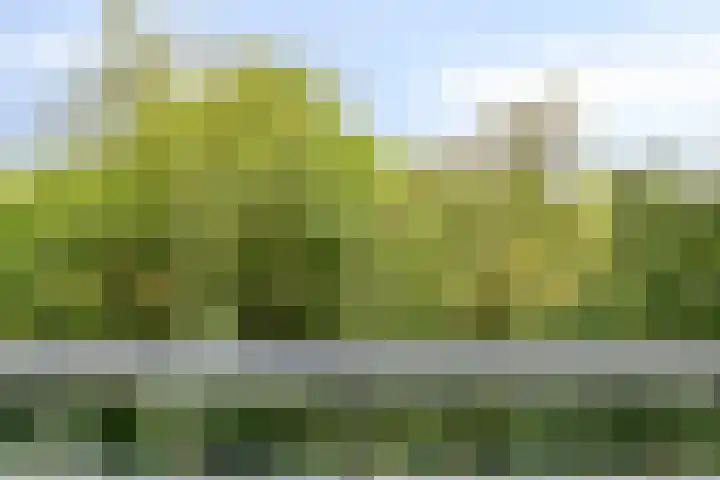 Limburglaan 103 Eindhoven thumbnail 35