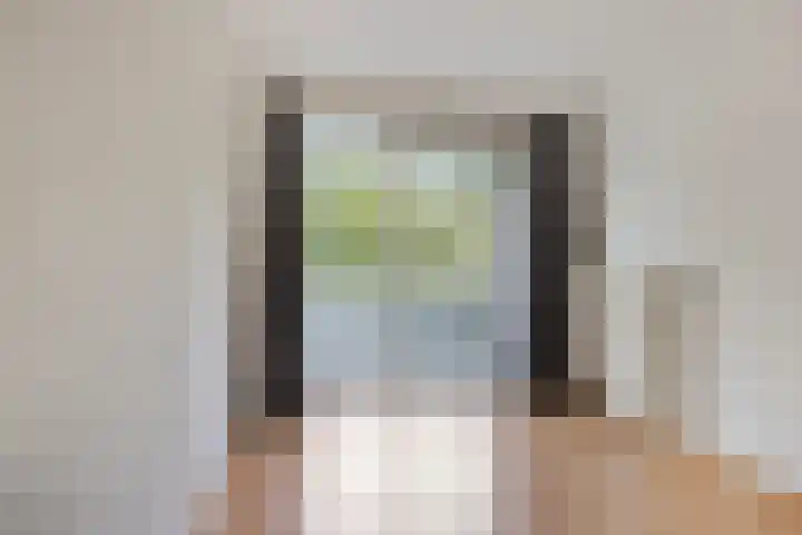 Limburglaan 103 Eindhoven thumbnail 4