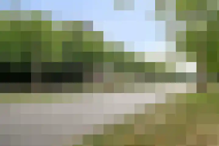 Limburglaan 103 Eindhoven thumbnail 40
