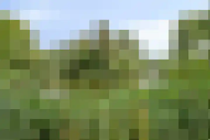 Limburglaan 103 Eindhoven thumbnail 41