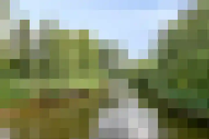 Limburglaan 103 Eindhoven thumbnail 43