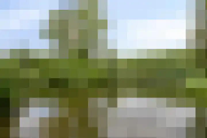 Limburglaan 103 Eindhoven thumbnail 44