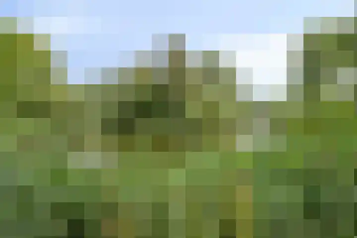 Limburglaan 103 Eindhoven thumbnail 45