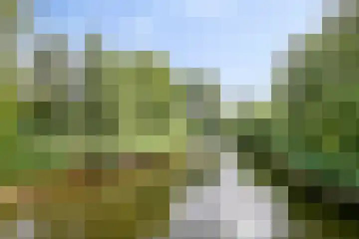 Limburglaan 103 Eindhoven thumbnail 46