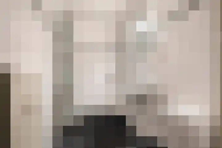 Limburglaan 103 Eindhoven thumbnail 6