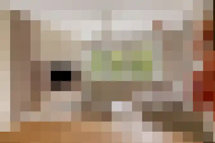 Limburglaan 105 Eindhoven thumbnail 13