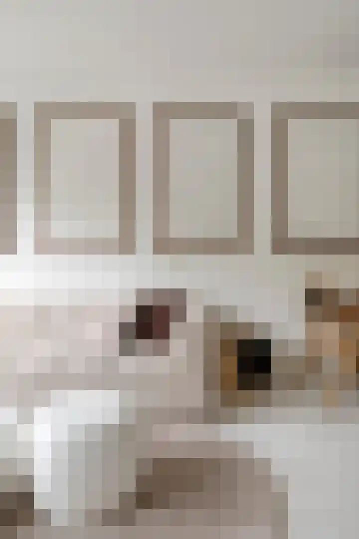Limburglaan 105 Eindhoven thumbnail 14