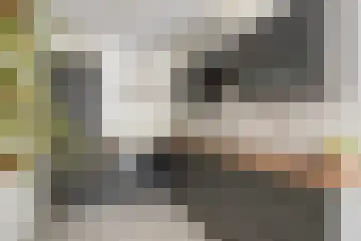 Limburglaan 105 Eindhoven thumbnail 20