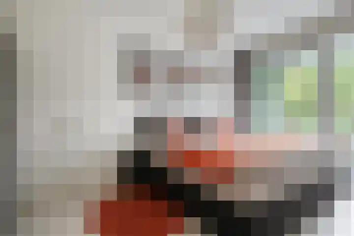 Limburglaan 105 Eindhoven thumbnail 21