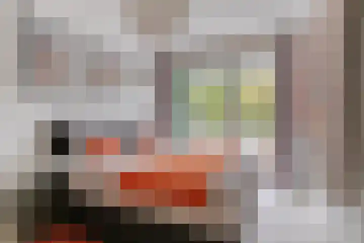 Limburglaan 105 Eindhoven thumbnail 22