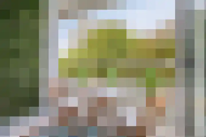Limburglaan 105 Eindhoven thumbnail 23