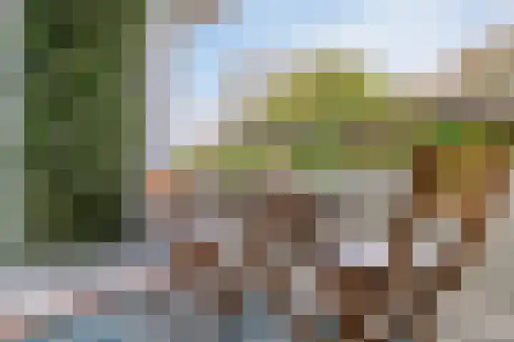 Limburglaan 105 Eindhoven thumbnail 25