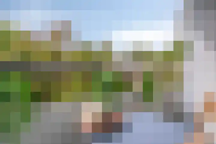 Limburglaan 105 Eindhoven thumbnail 26