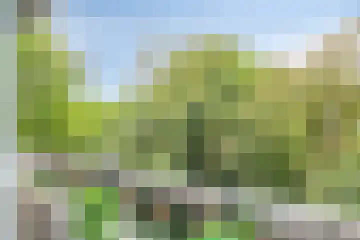 Limburglaan 105 Eindhoven thumbnail 27