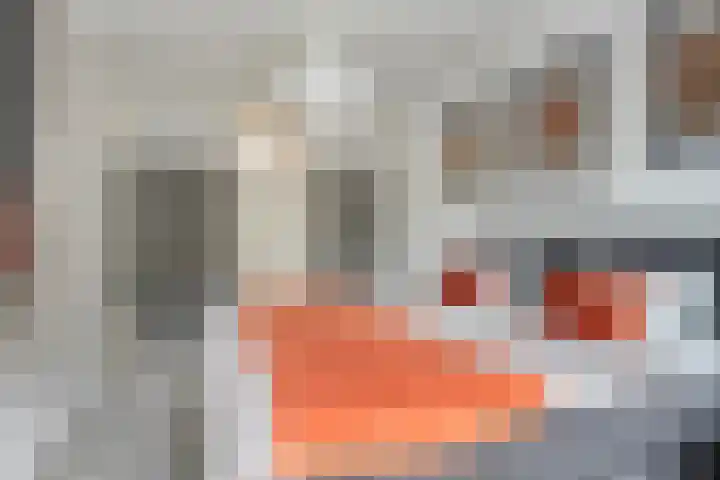 Limburglaan 105 Eindhoven thumbnail 28