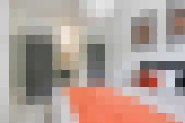 Limburglaan 105 Eindhoven thumbnail 29