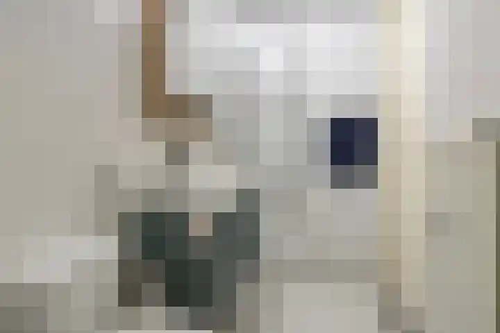 Limburglaan 105 Eindhoven thumbnail 30