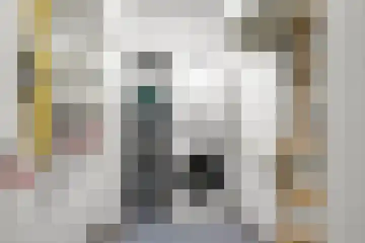 Limburglaan 105 Eindhoven thumbnail 33