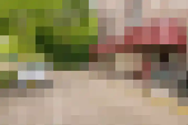 Limburglaan 105 Eindhoven thumbnail 35