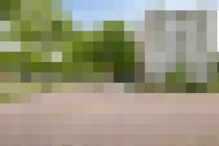 Limburglaan 105 Eindhoven thumbnail 37