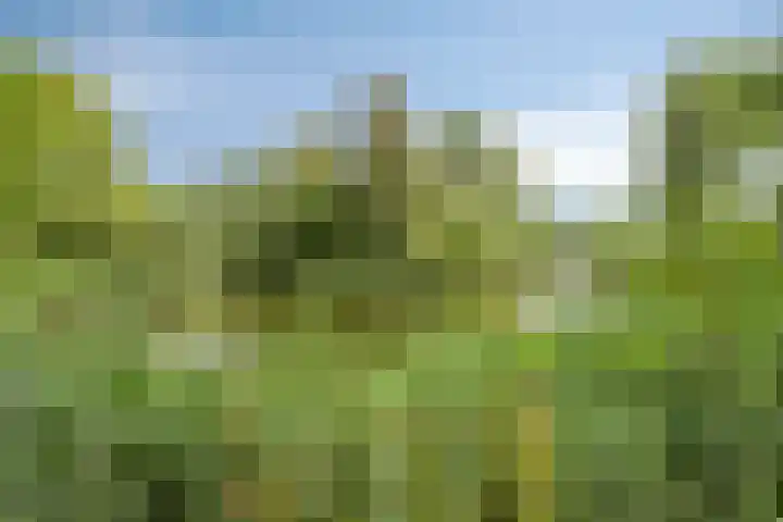 Limburglaan 105 Eindhoven thumbnail 38
