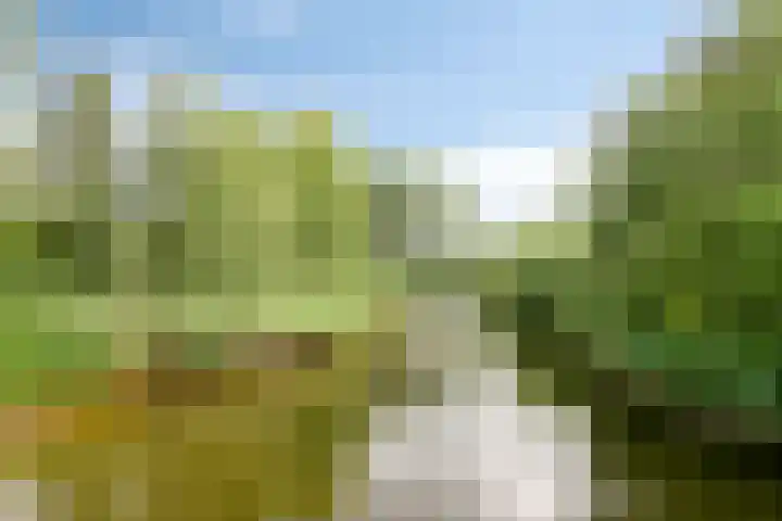 Limburglaan 105 Eindhoven thumbnail 39