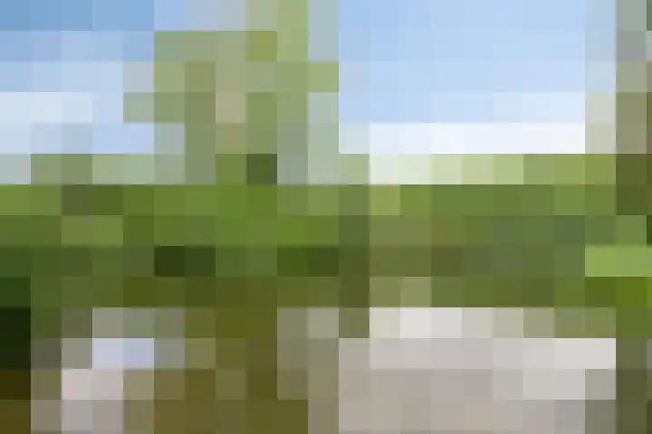 Limburglaan 105 Eindhoven thumbnail 40
