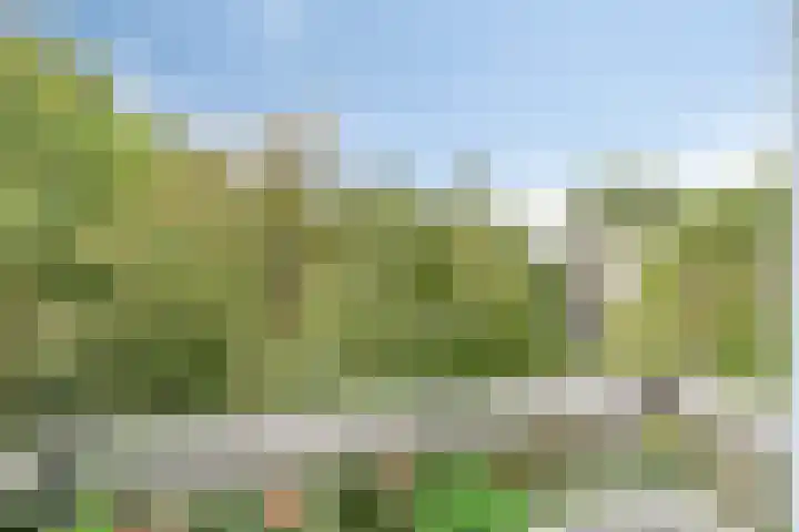 Limburglaan 105 Eindhoven thumbnail 41