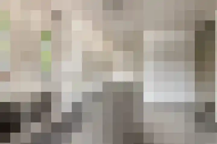 Limburglaan 105 Eindhoven thumbnail 6
