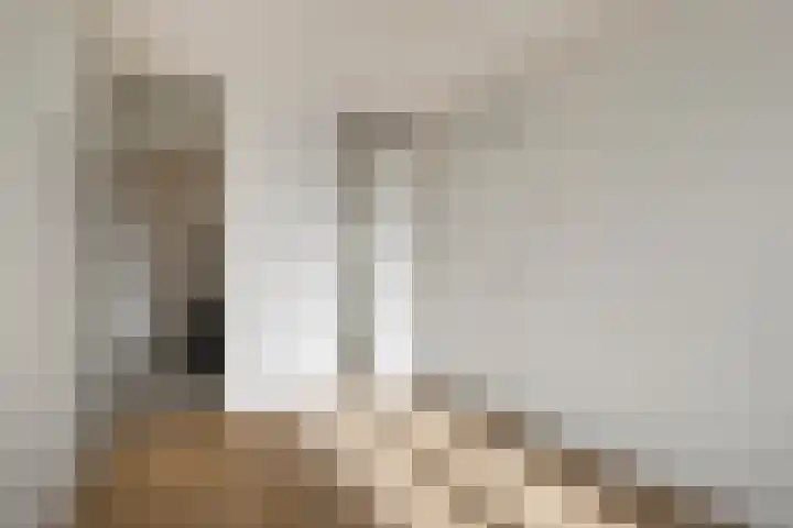 Limburglaan 109 Eindhoven thumbnail 24