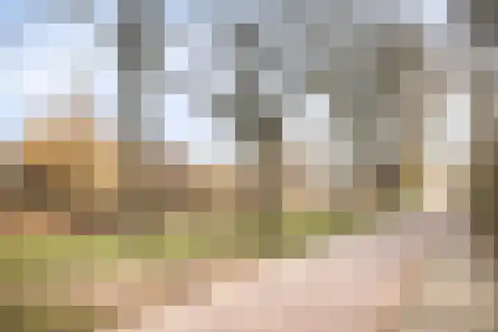 Limburglaan 109 Eindhoven thumbnail 32