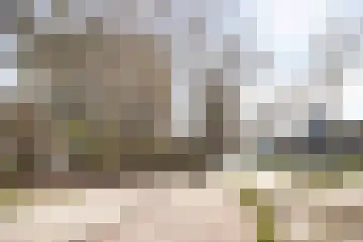 Limburglaan 109 Eindhoven thumbnail 35