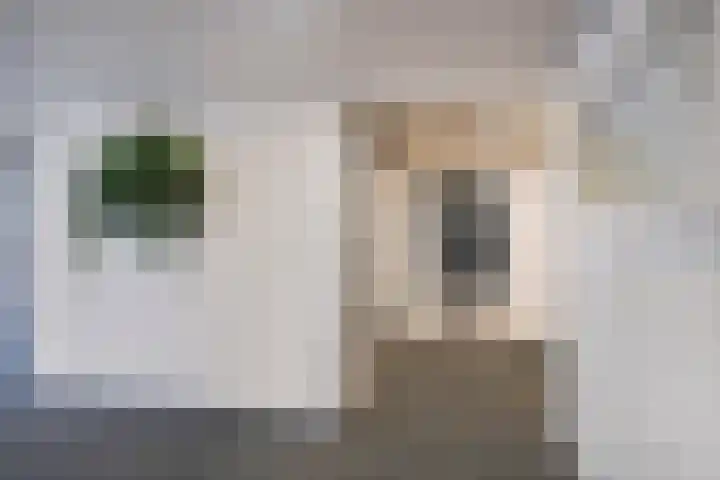 Limburglaan 109 Eindhoven thumbnail 8